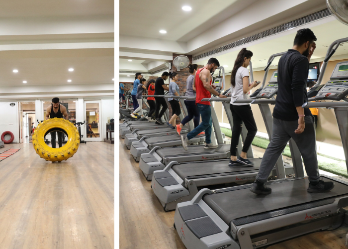 Best gym in udaipur